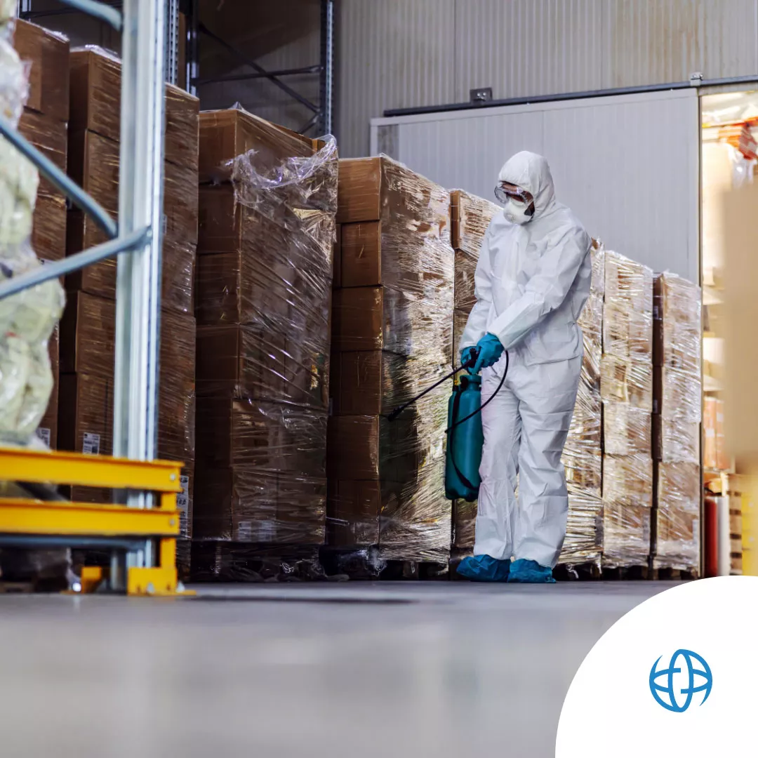 BMSB Season Has Begun!